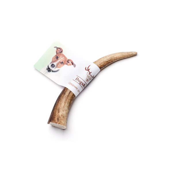 DogsRogs Оленячі роги M для собак малих порід, середньої твердості, 20 см - 6