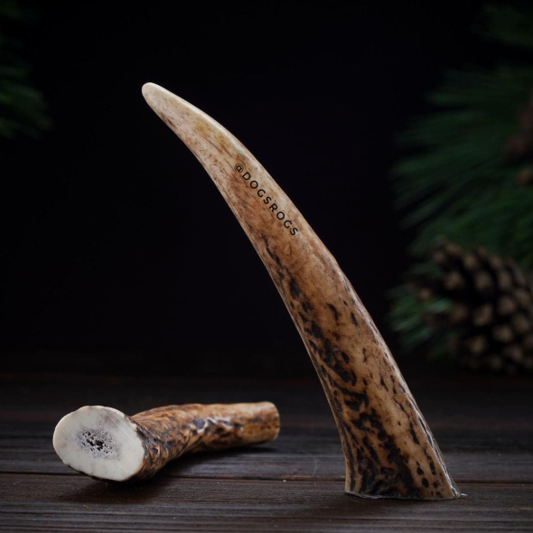 DogsRogs Оленячі роги M для собак малих порід, середньої твердості, 20 см - 3