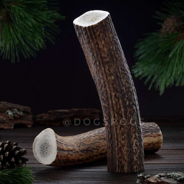 DogsRogs Оленячі роги М+ для собак середніх та великих порід, товсті, 20 см - 1