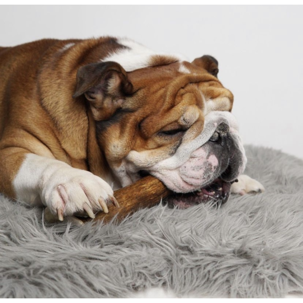 DogsRogs Оленячі роги М+ для собак середніх та великих порід, товсті, 20 см - 3