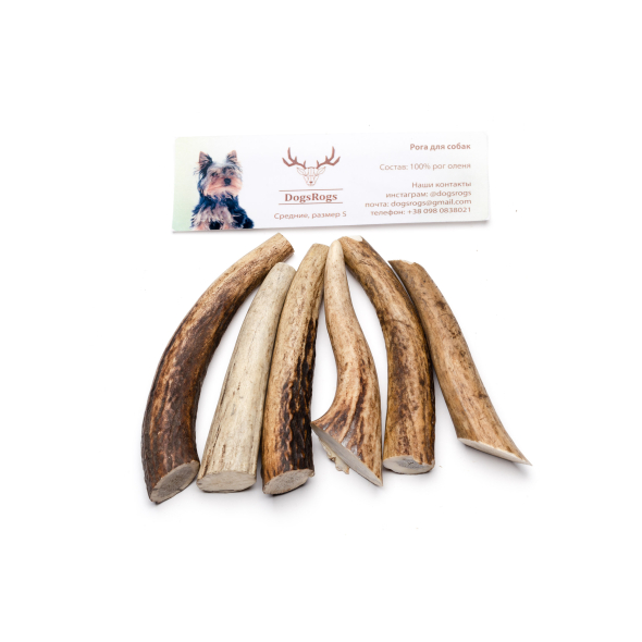 DogsRogs Оленячі роги S для собак мініатюрних порід, середньої твердості, 10 см - 3