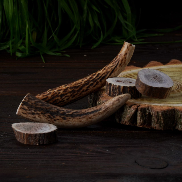 DogsRogs Оленячі роги S для собак мініатюрних порід, середньої твердості, 10 см - 5