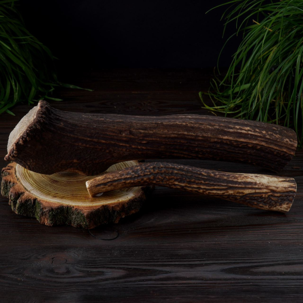 DogsRogs Оленячі роги M для собак малих порід, м'які, 20 см - 3