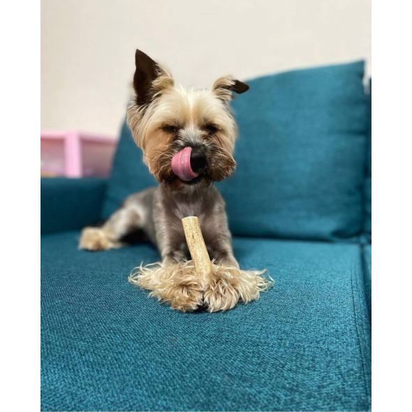 DogsRogs Оленячі роги S для собак мініатюрних порід, м'які, 10 см - 3