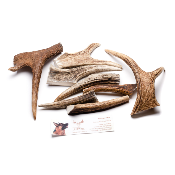 DogsRogs Роги лося L для собак середніх та великих порід, тверді, 20 см - 2