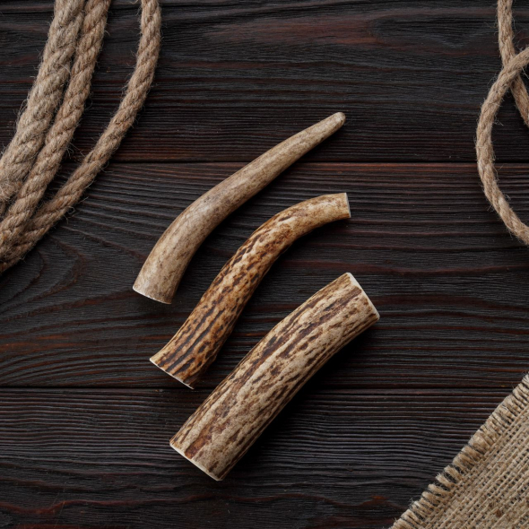 DogsRogs Роги лося S для собак малих порід, тверді, 10 см - 2