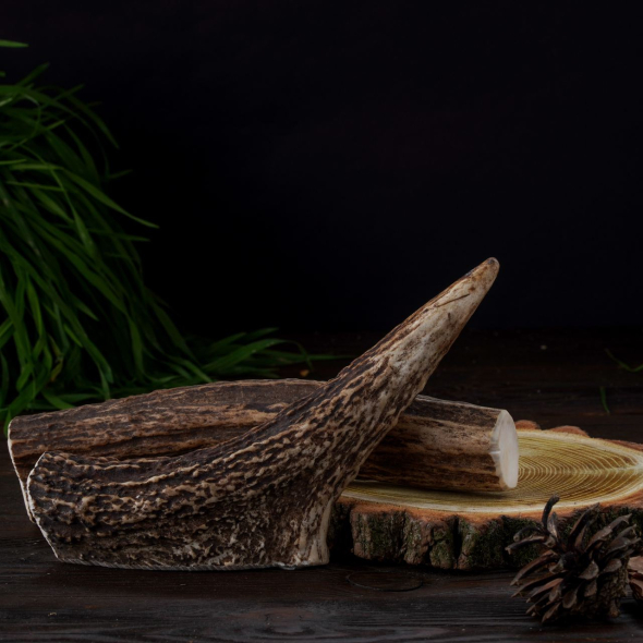 DogsRogs Роги лося XL для собак великих порід, тверді, 30 см - 2