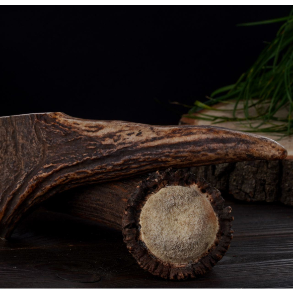 DogsRogs Роги лося XL для собак великих порід, тверді, 30 см - 1