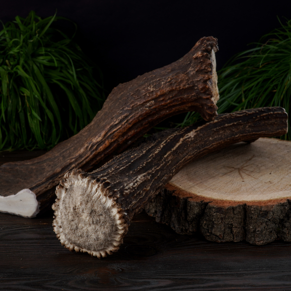 DogsRogs Роги лося XXL для собак великих порід, тверді, 30 см - 1