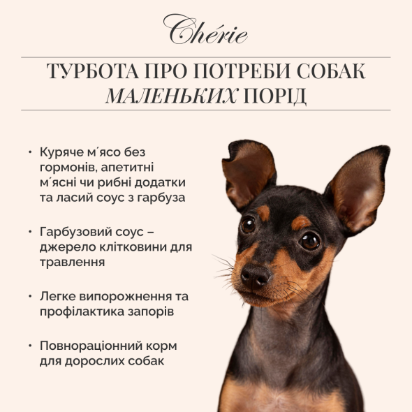 Cherie Small Breed Chicken in Pumpkin Gravy Вологий корм для собак курка в гарбузовому соусі, 80 г - 2