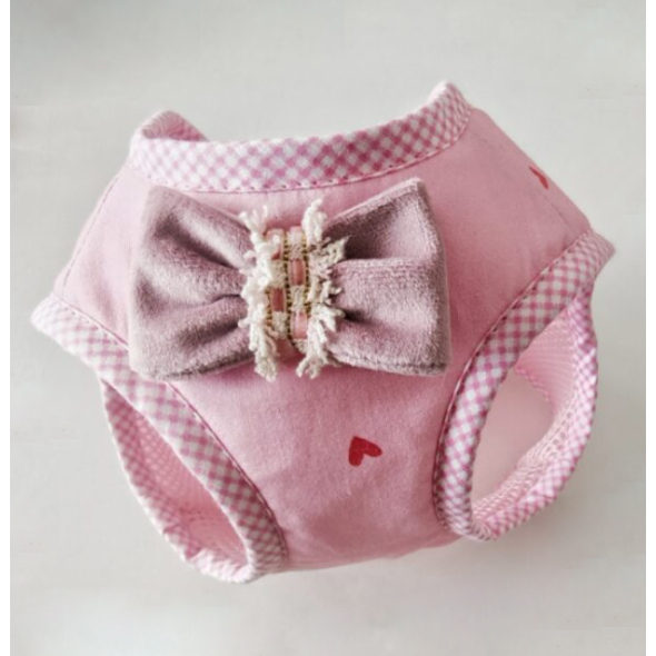 Chloe's Home Шлея для собак Florida hearts S - 2