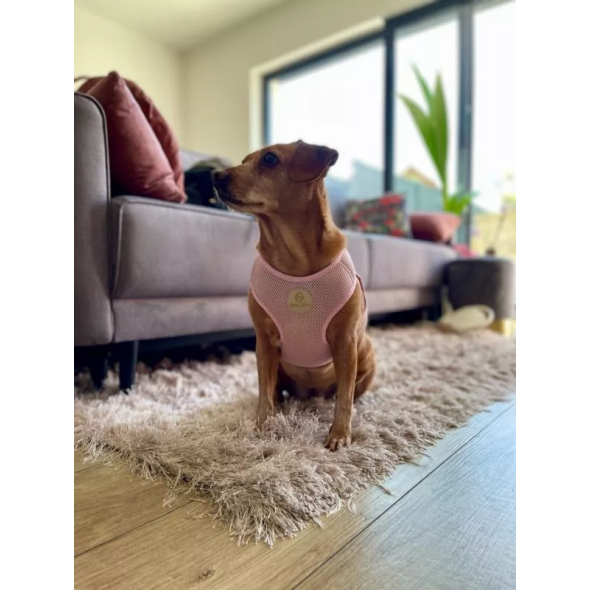 Chloe's Home Шлея для собак Dakar рожева XS - 3