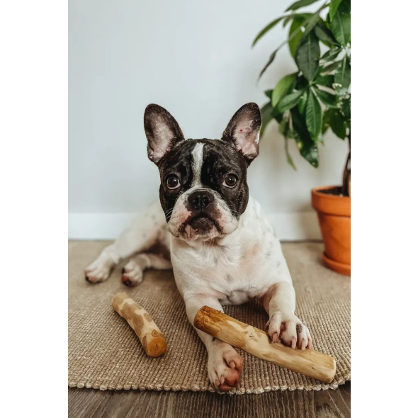 HealthyDoggo Coffee Stick Палиця з кавового дерева для собак, L, 19х4 см - 4