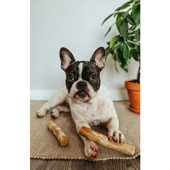 HealthyDoggo Coffee Stick Палиця з кавового дерева для собак, М, 17х4 см - 3