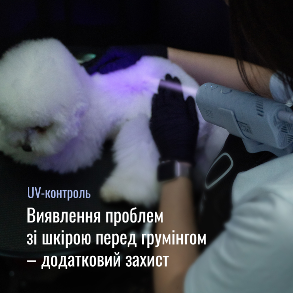 Tauro Pro Line Універсальний фен для тварин із гнучкою системою кріплення на шиї, з вилкою ЄС, рожевий - 7