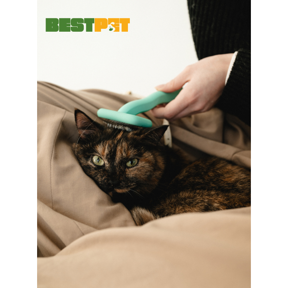 Tauro Pro Line Щітка дерев'яна прямокутна, зубці 11 мм, м'ятна, S, 7 х 16 см - 4