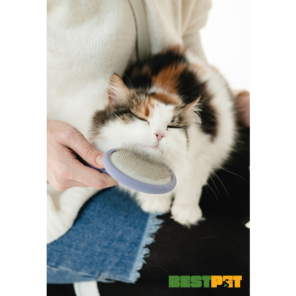 Tauro Pro Line Щітка дерев'яна кругла, зубці 11 мм, філетова, M, 9 х 19 см - 2