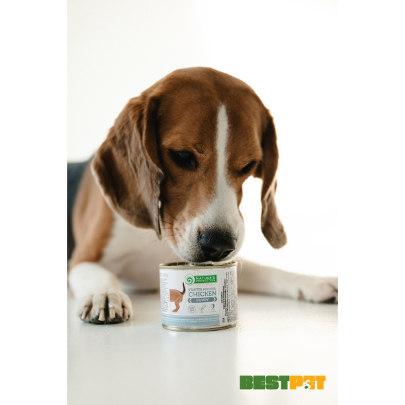 Nature's Protection Puppy Starter Mousse Chicken Мус-стартер для цуценят з курки, 200 г - 2