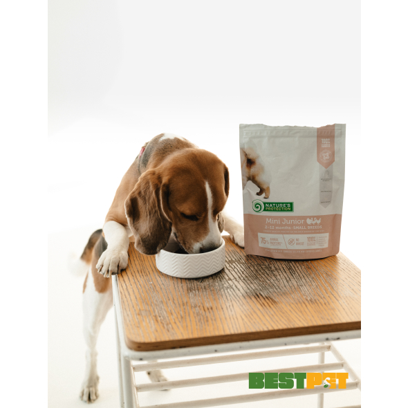 Nature's Protection Mini Junior Small Breeds Сухий корм для цуценят малих порід з м'ясом птиці, 500 г - 6