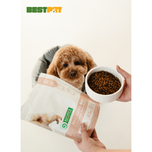 Nature's Protection Mini Junior Small Breeds Сухий корм для цуценят малих порід з м'ясом птиці, 500 г - 4