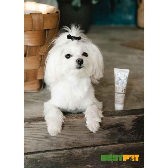 Tauro Pro Line Pure Nature Stainless look 3in1 Маска для котів та собак з білою шерстю,  50 мл - 2