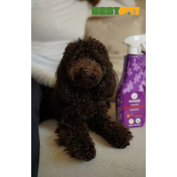 MISOKO Засіб для усунення плям і неприємного запаху від собак, 750 мл - 5