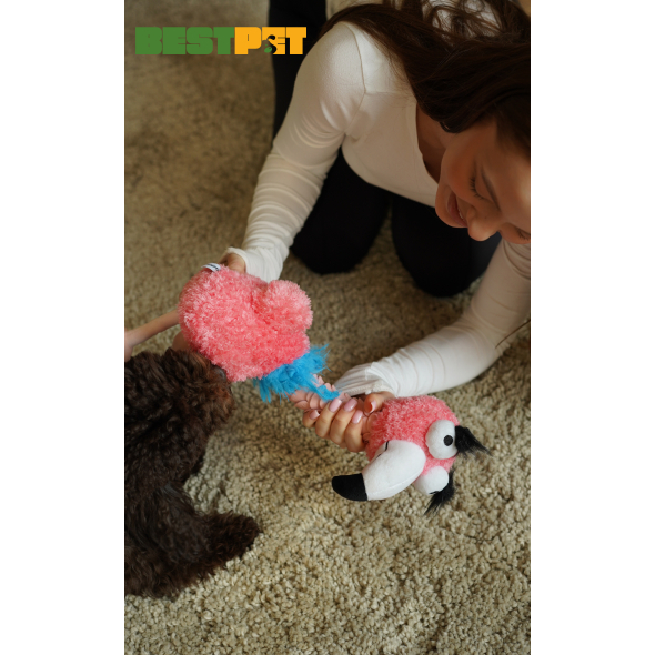 MISOKO Міцна іграшка для собак пелікан TPE, 45 см - 1