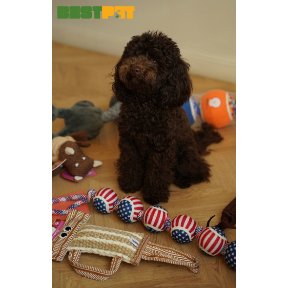 MISOKO Іграшка для собак тенісні м'ячі синьо-червоні 10 см, 3 шт - 1