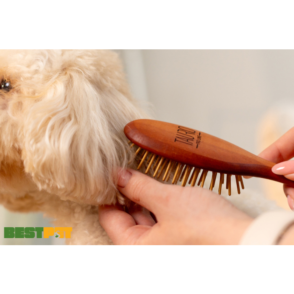 Tauro Pro Line Prestige Щітка дерев'яна зубці 16 мм з деревини, антистатична, коричнева, овальна, мала, 18,5 х 4,8 см - 3