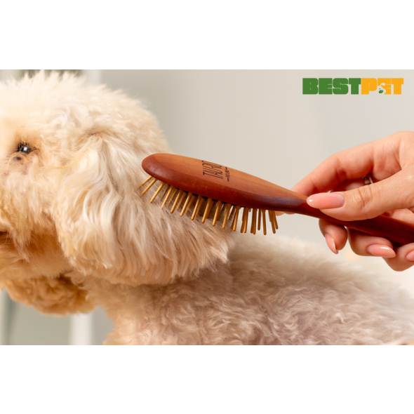 Tauro Pro Line Prestige Щітка дерев'яна зубці 16 мм з деревини, антистатична, коричнева, овальна, мала, 18,5 х 4,8 см - 2