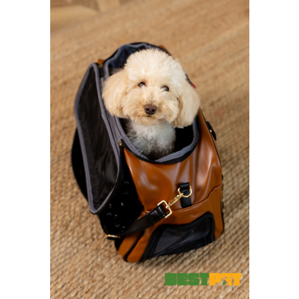 MISOKO Дорожня сумка для домашніх тварин, 45 x 20 x 30 см, чорно-коричнева - 2