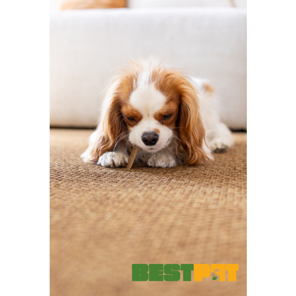 Nature's Protection Superior Care Red Coat Healthy Skin &amp; Coat Беззернові ласощі для дорослих собак з рудим забарвленням з лососем, 160 г - 2