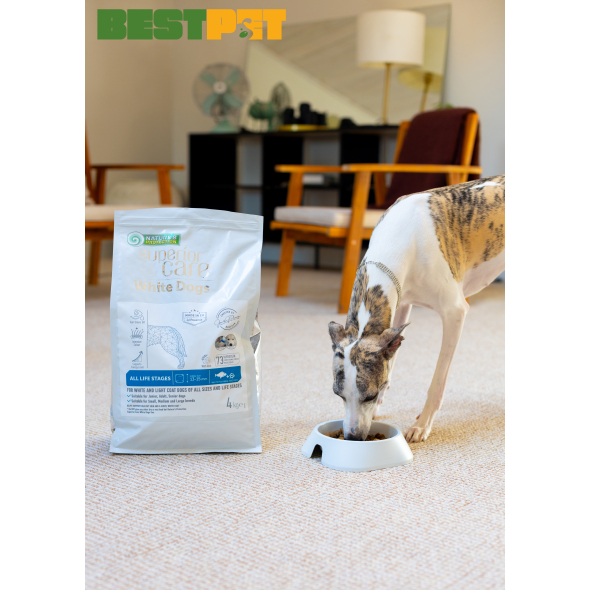 Nature's Protection Superior Care White Dogs White Fish All Sizes&amp;Life Stages Сухий корм для собак усіх розмірів і стадій життя з білою рибою, 4 кг - 2
