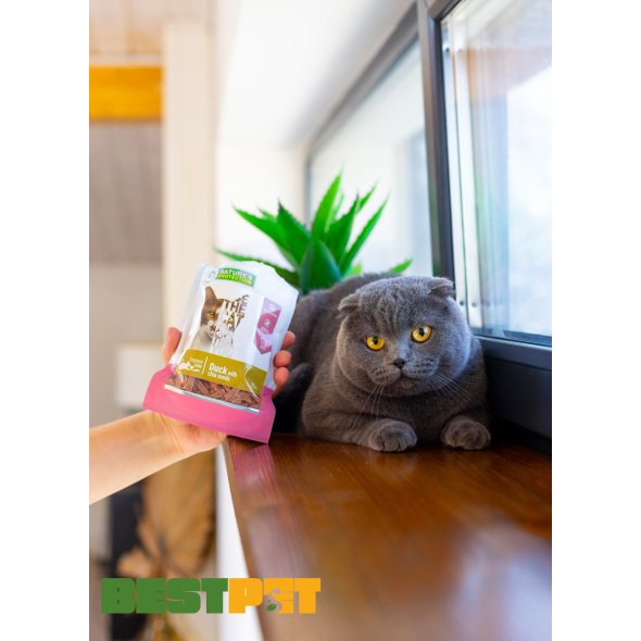 Nature's Protection Duck with chia seeds Ласощі для котів снеки з качкою і чіа, 75 г - 2