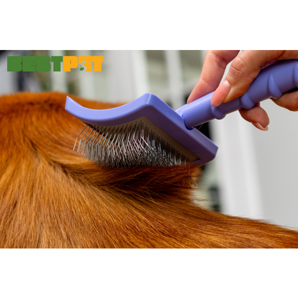 Tauro Pro Line Royal Щітка пластикова тонкі та м'які зубчики з нержавіючої сталі 25 мм, фіолетова, велика 17,5 x 10,6 x 6,2 см - 3