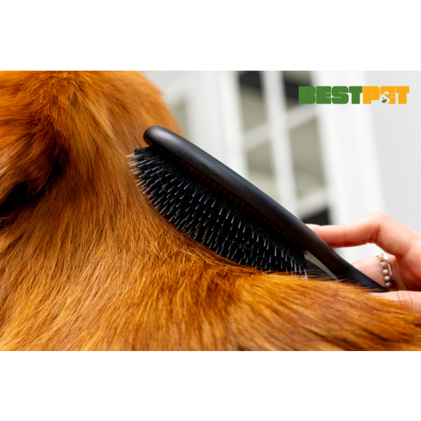 Tauro Pro Line Prestige Щітка з деревини бука і щетини кабана 16 мм з нейлоновими зубчиками, чорна, велика, 24,5 х 8 см - 3