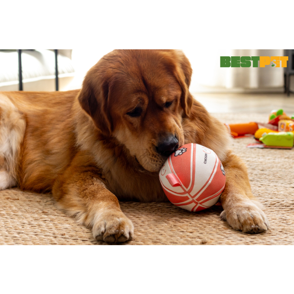 MISOKO Іграшка для собак, м'яч надувний, у формі баскетбольного м'яча, білий з рожевим, 15 см - 2