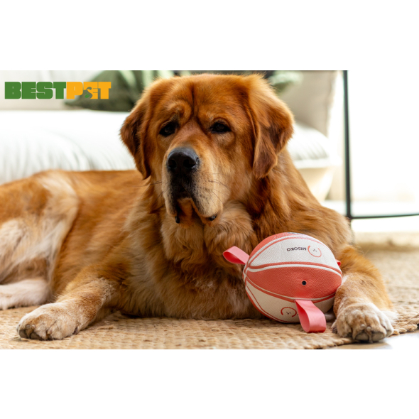 MISOKO Іграшка для собак, м'яч надувний, у формі баскетбольного м'яча, білий з рожевим, 15 см - 3