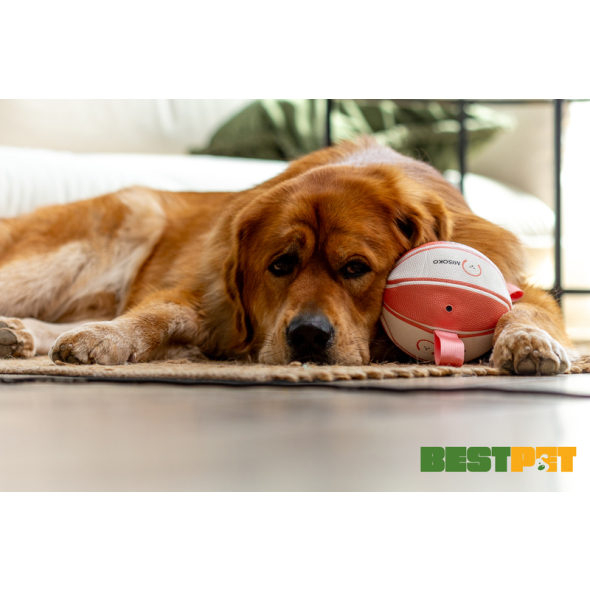 MISOKO Іграшка для собак, м'яч надувний, у формі баскетбольного м'яча, білий з рожевим, 15 см - 1