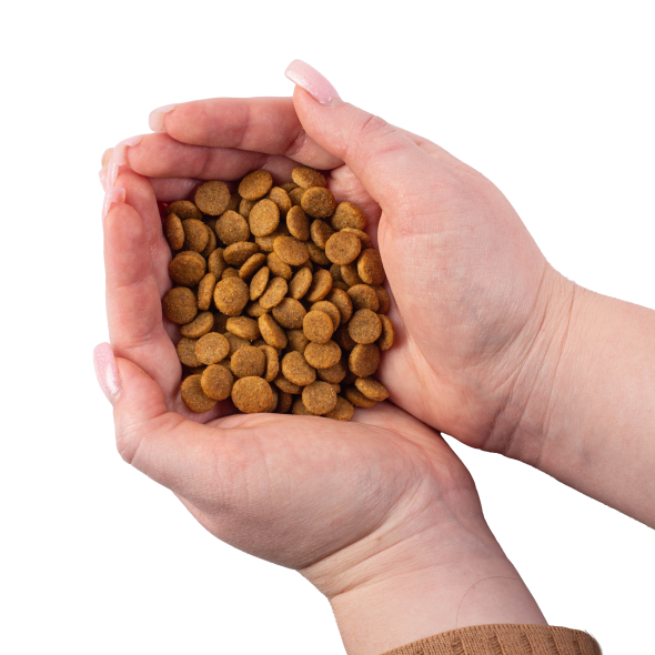 Nature's Protection Large cat Kitten Сухий корм для кошенят великих порід, 18 кг - 2