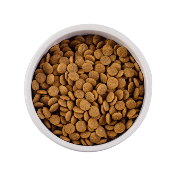 Nature's Protection Large cat Kitten Сухий корм для кошенят великих порід, 18 кг - 1