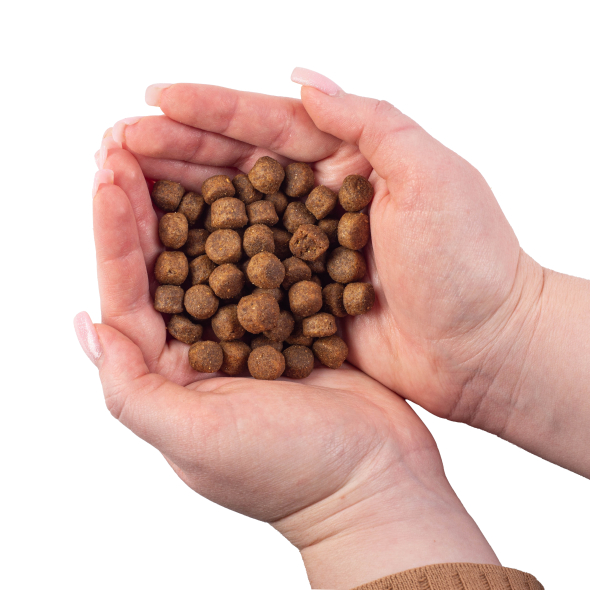 Nature's Protection Superior Care Dark Coat Grain Free Adult All Breeds Сухий корм для дорослих собак усіх порід з чорним забарвленням шерсті, 10 кг - 2