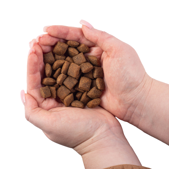 Nature's Protection Lamb Adult All Breeds Сухий корм для дорослих собак усіх порід з ягням, 500 г - 3