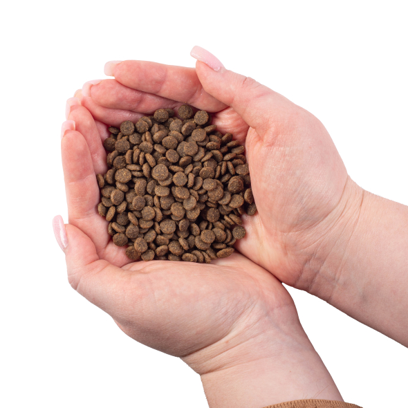 Nature's Protection Superior Care White Dogs Grain Free Insect Adult Small Breeds Сухий беззерновий корм для дорослих собак малих порід з протеїном комах, 1,5 кг - 4