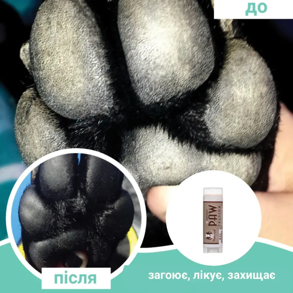 Natural Dog Company Paw Tection Бальзам для лап собак і котів, стік, 4,25 мл - 1