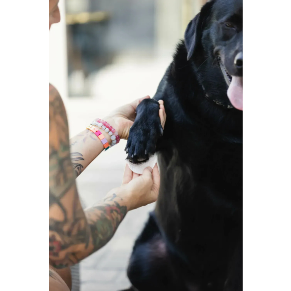 Natural Dog Company Paw Wipes Серветки для очищення лап собак, 50 шт - 2