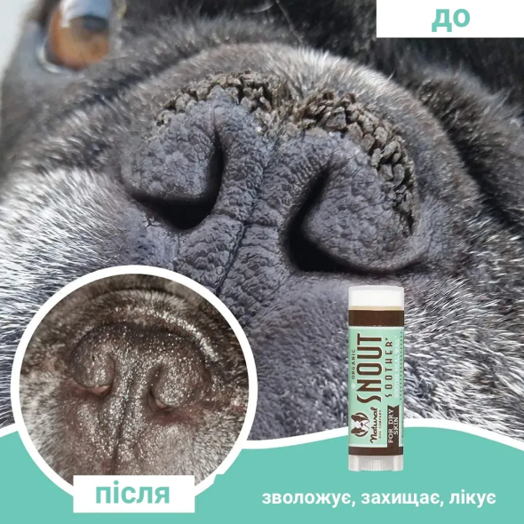Natural Dog Company Snout Soother Бальзам для носа собак і котів, стік, 4,25 мл - 1