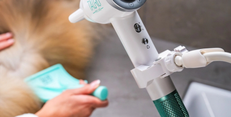 Новинка для професійного догляду за шерстю: Ручний фен для домашніх тварин з іонною технологією Tauro Pro Line