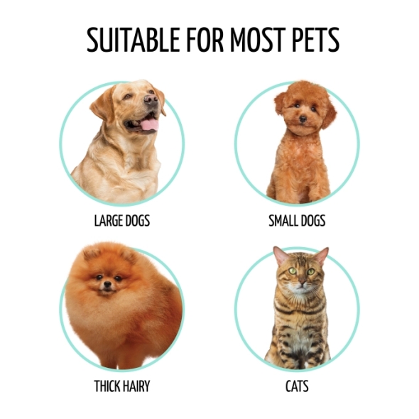 Tauro Pro Line Щітка дерев'яна вигнута прямокутна, штифти 25 мм, фіолетова S, 6,1 х 19 см - 4