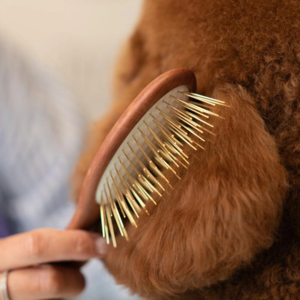 Tauro Pro Line Prestige Щітка дерев'яна зубці 35 мм з нержавіючої сталі, коричнева, овальна форма, велика 23 x 6,3 см - 2